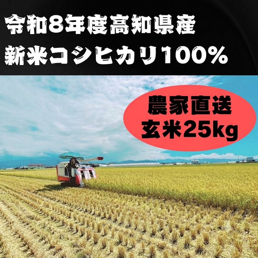 新米 令和8年度高知県産コシヒカリ 玄米25kg