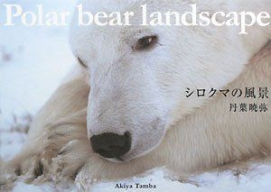 シロクマの風景