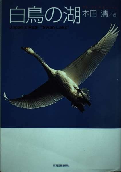 白鳥の湖