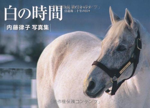 白の時間 名馬オグリキャップ引退後二十年の日々