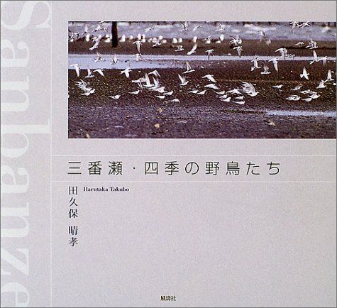 三番瀬・四季の野鳥たち