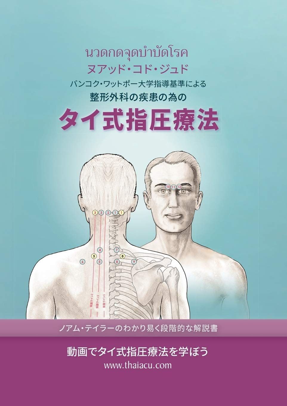 タイ式指圧療法: バンコク・ワットポー大学指導基準による 整形外科の疾患の為の タイ? 23,186円