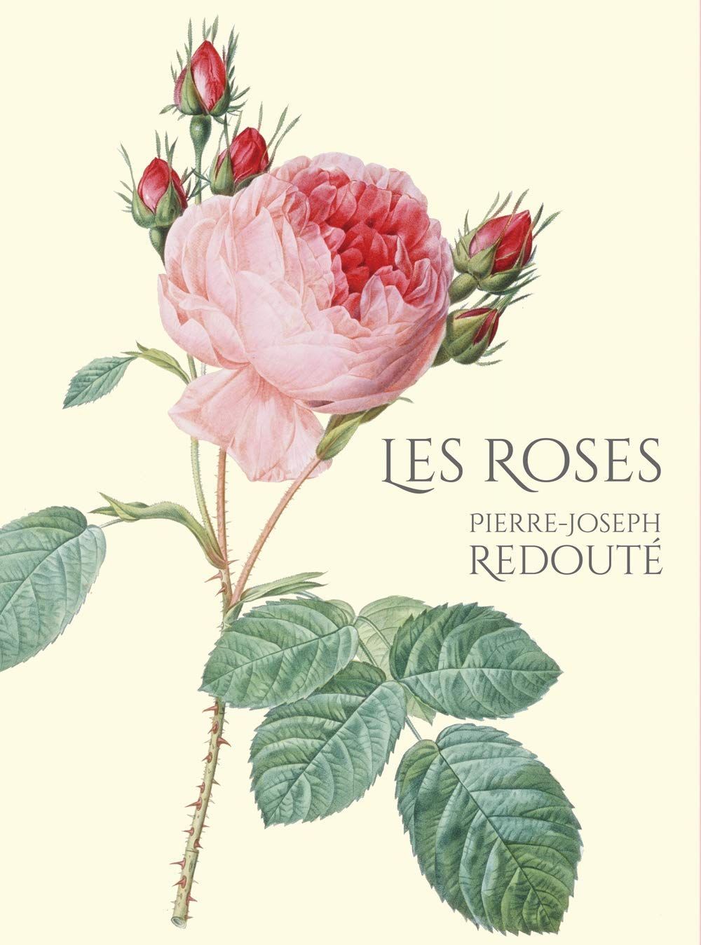 豪華愛蔵版 Les Roses バラ図譜