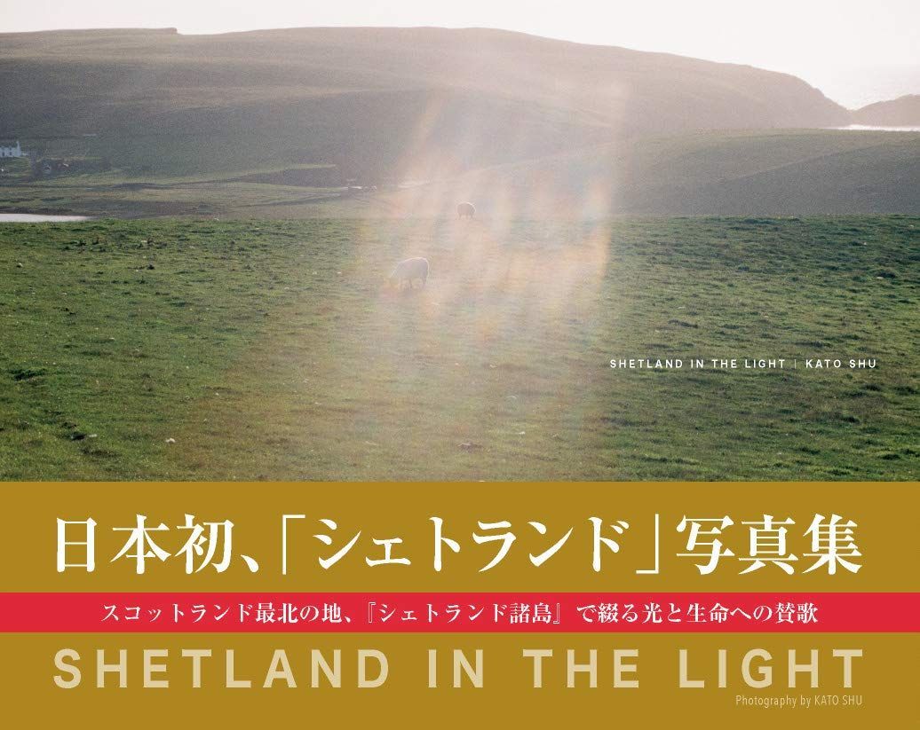 SHETLAND IN THE LIGHT (フェイドレス)