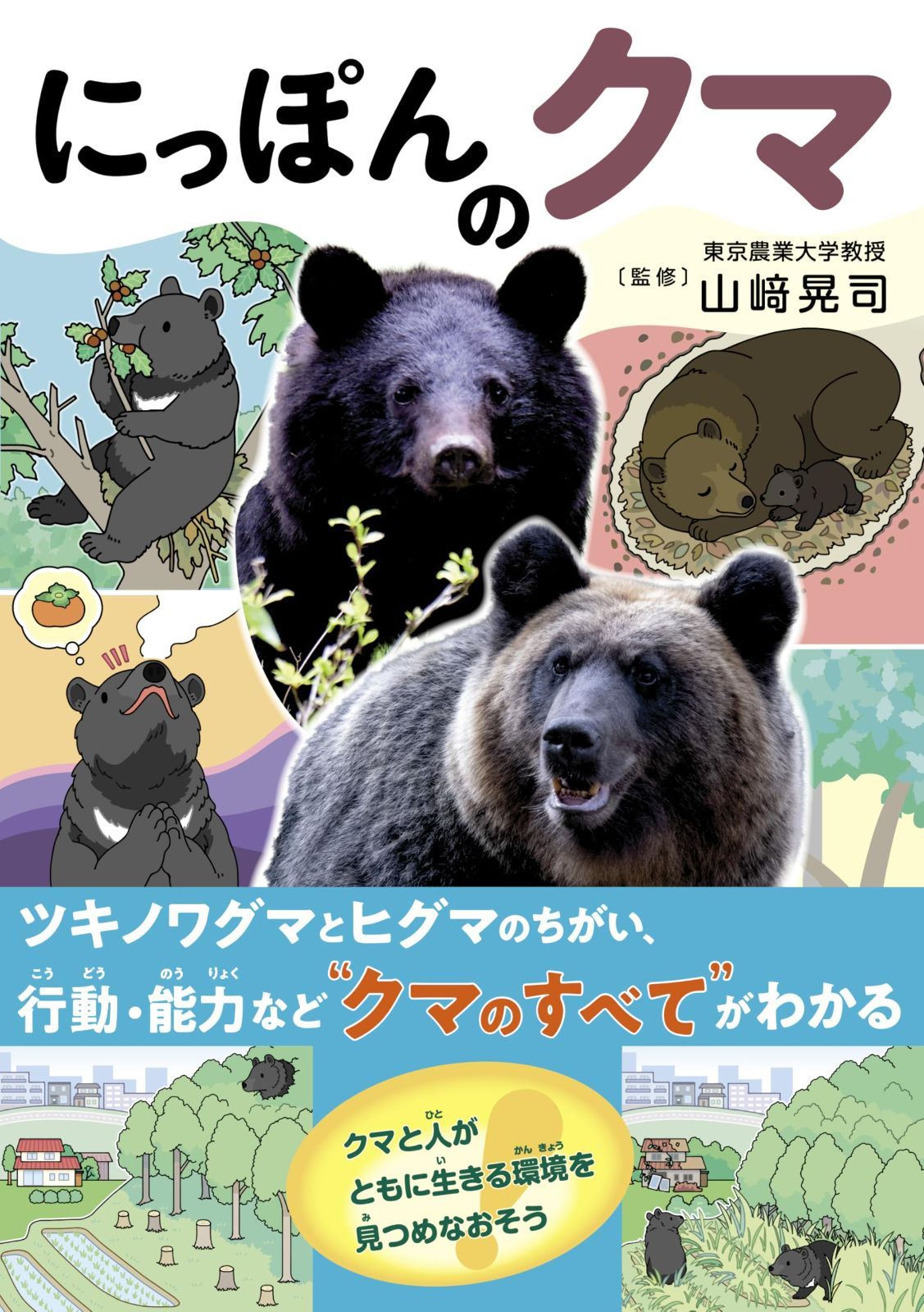 にっぽんのクマ 6,109円
