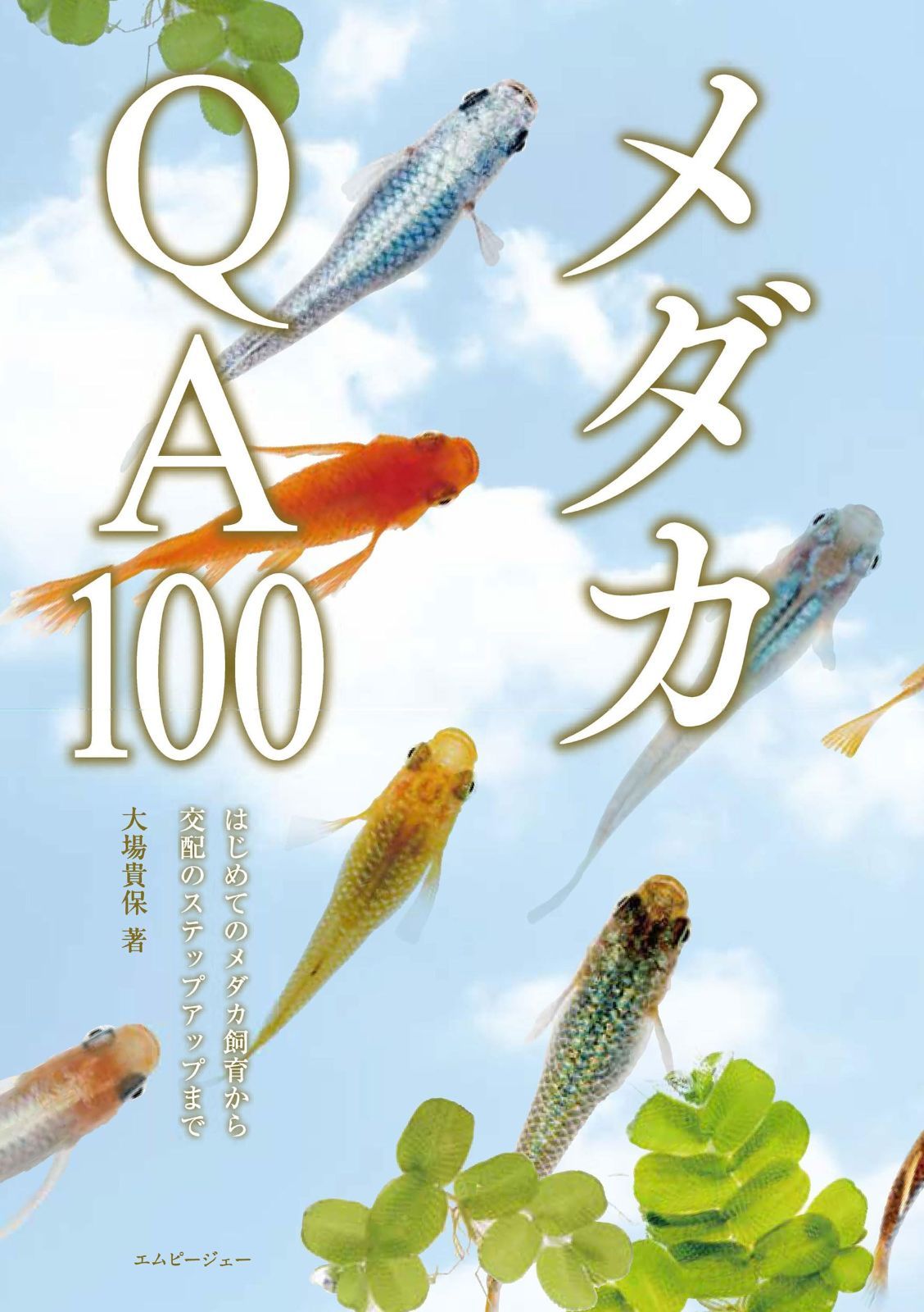 メダカQA100　はじめてのメダカ飼育から交配のステップアップまで (みずものQA100シリーズ 4)