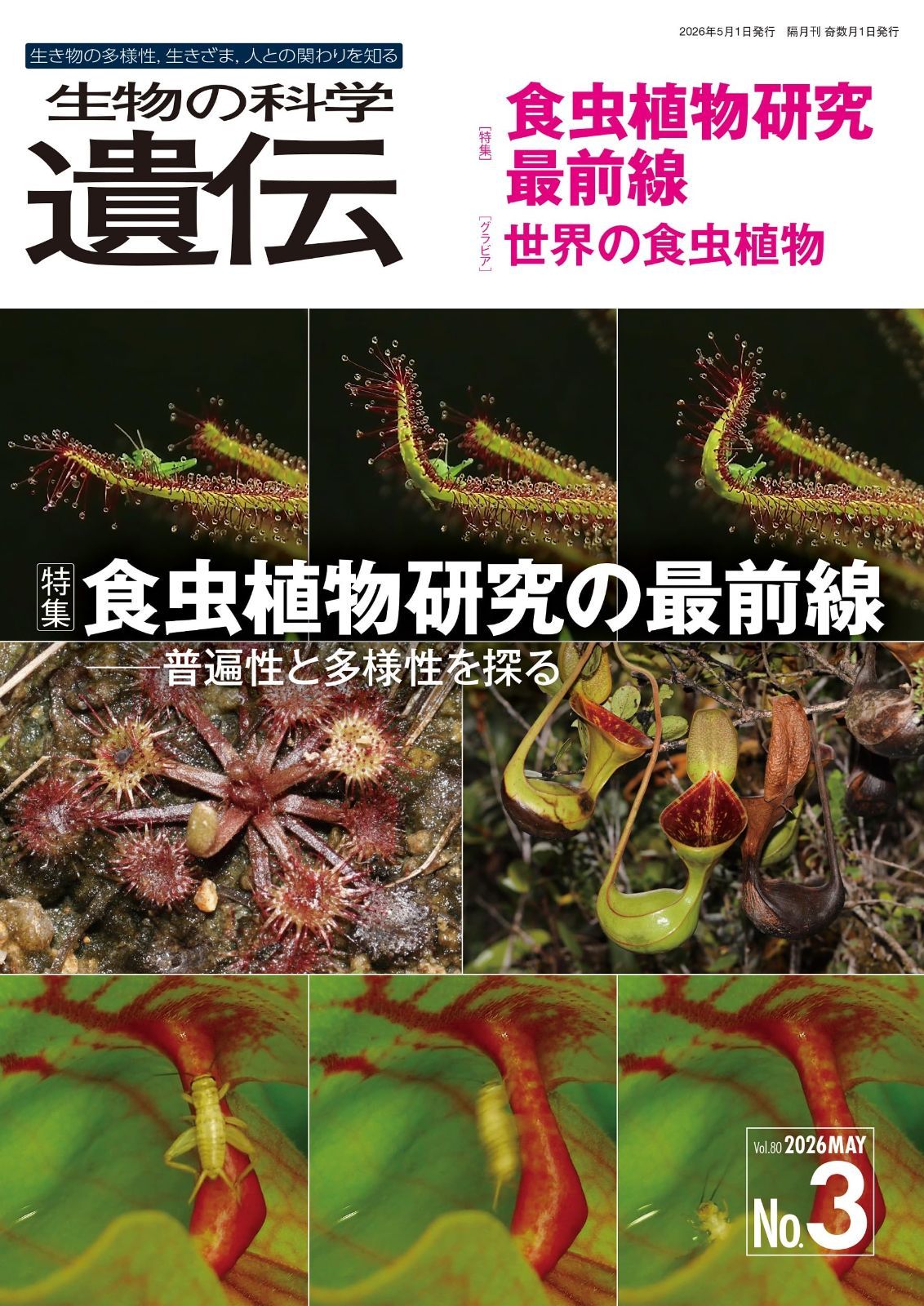 生物の科学 遺伝 2026年5月発行号(Vol.80‐No.3): 食虫植物研究の最前線―普遍性と多様性を探る