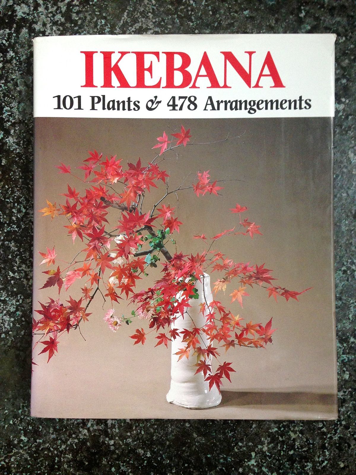 Ikebana 101Plants&478Arrangeme 21,612円