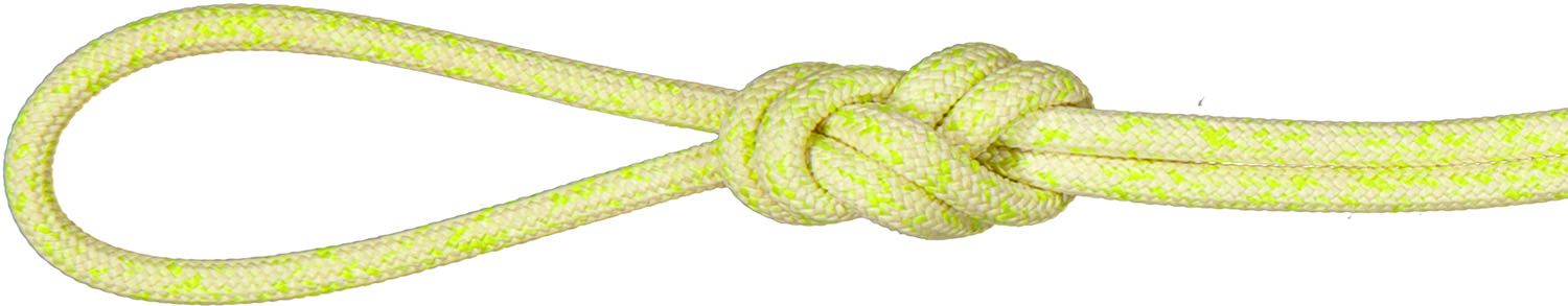 マムート MAMMUT アウトドア 6.0 GLACIER CORD DRY 30M 201005650 1241 YELLOWMELANGE