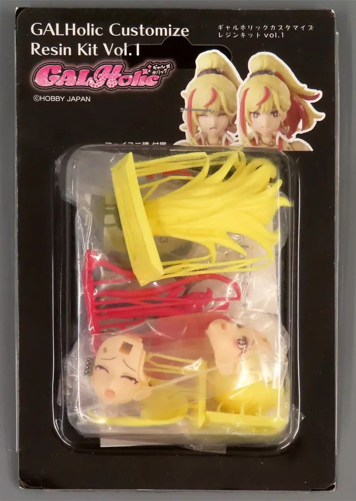 [Used] Plastic Model Galholic Customization Vol. 1 “GalHolic” Resin Cast Kit
