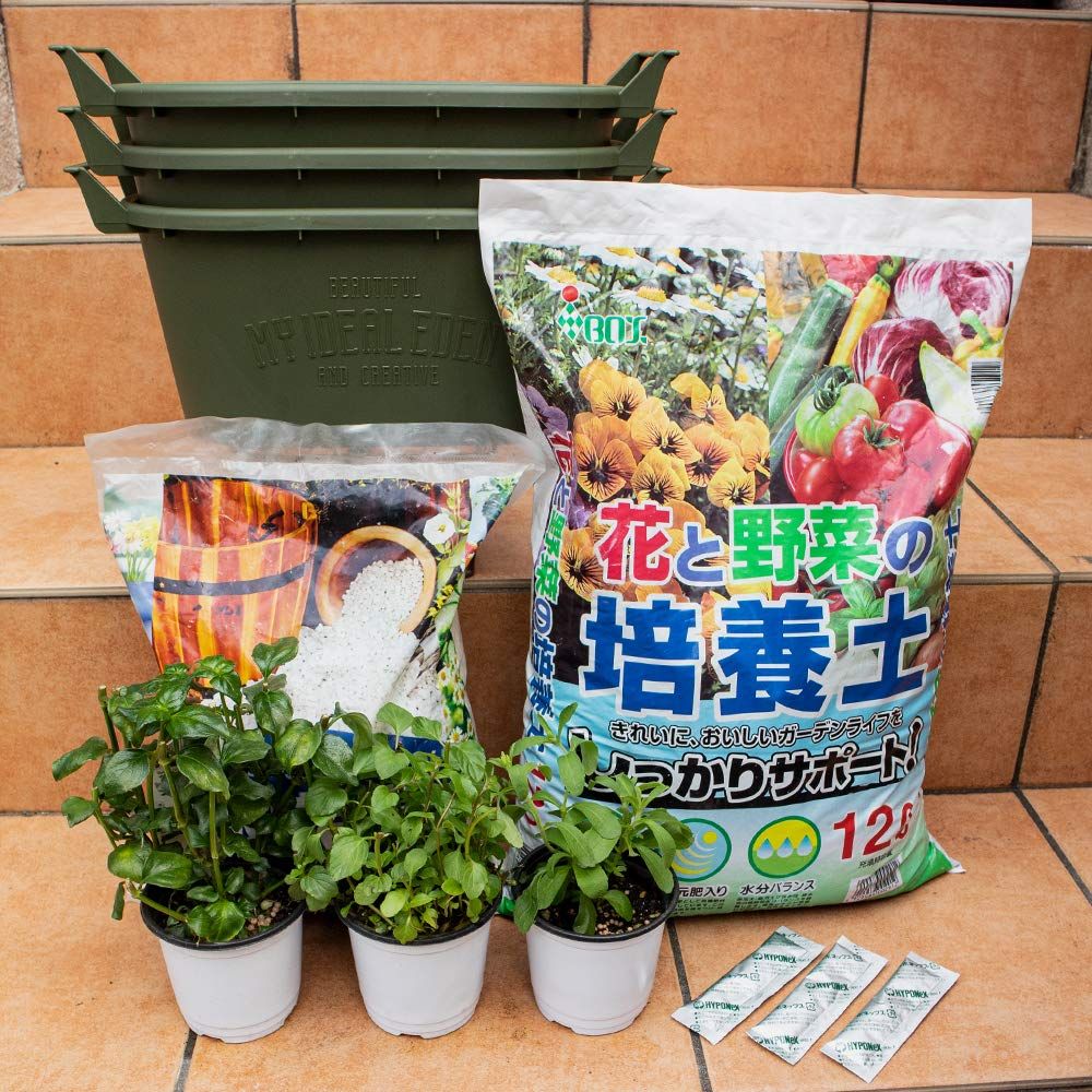 ＩＴＡＮＳＥ ハーブおまかせセット テーマ:クッキング 3個+資材セットB ハーブ苗 プランターカーキ・培養土・鉢底石・肥料送料無料 8e4d6f42