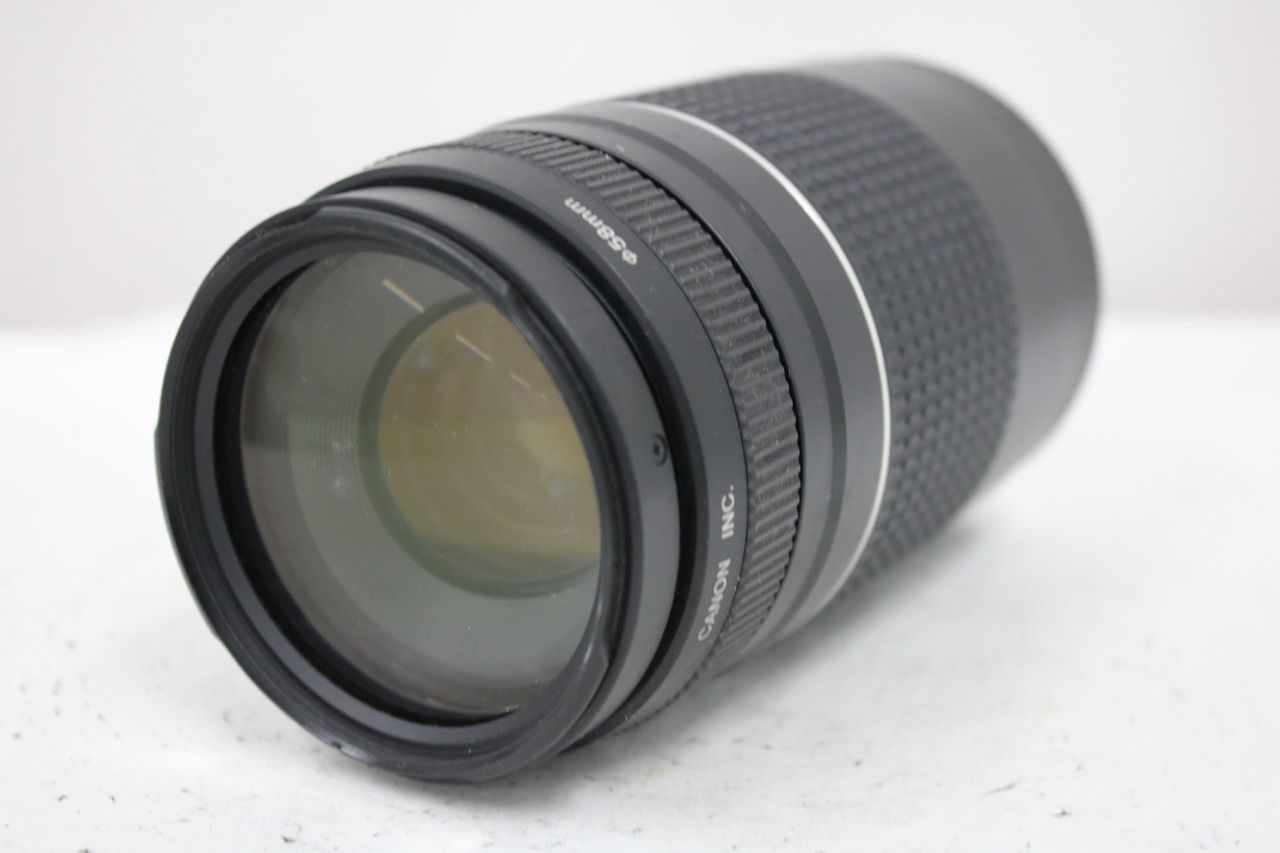 【訳あり品】 キャノン Canon EF 75-300mm F4-5.6 III USM ULTRASONIC レンズ e16768