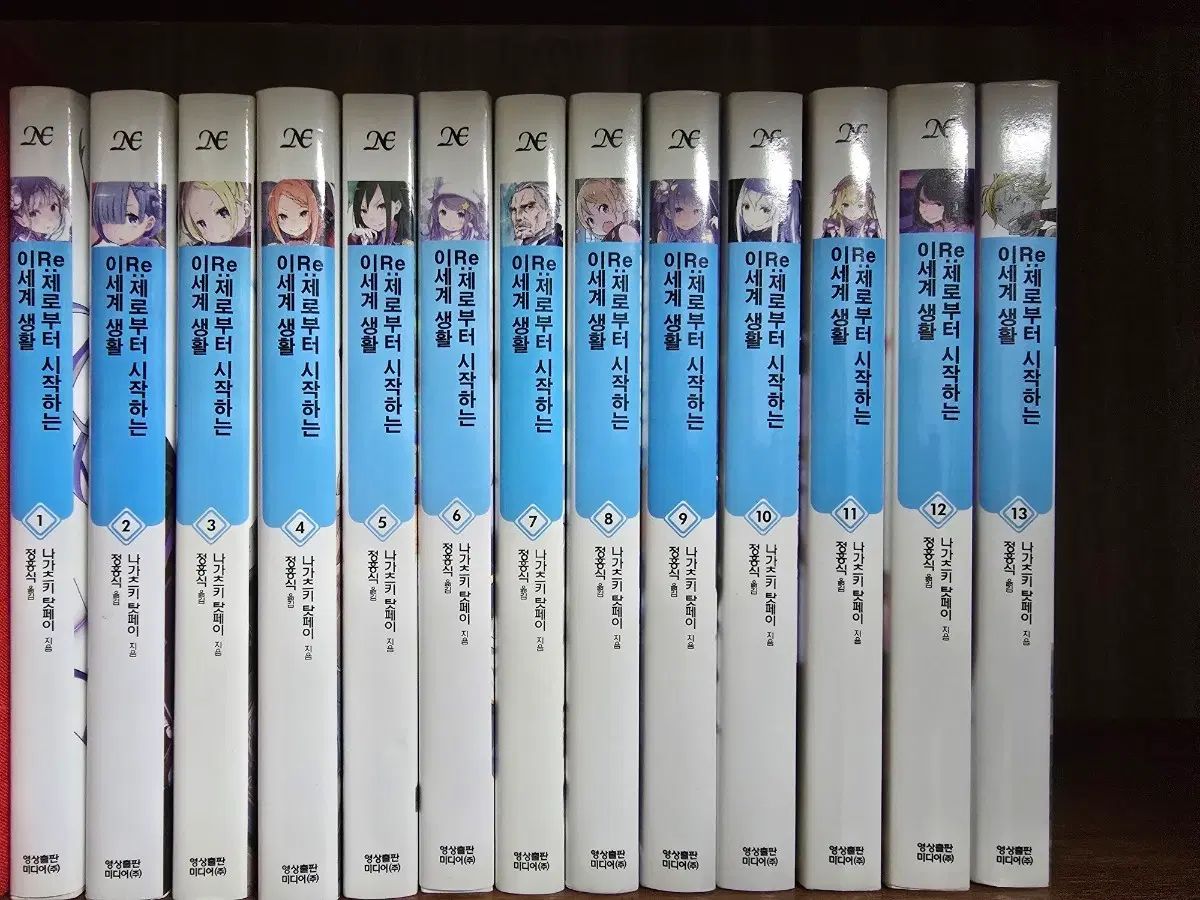 Re:ゼロから始める異世界生活 13巻セット ライトノベル