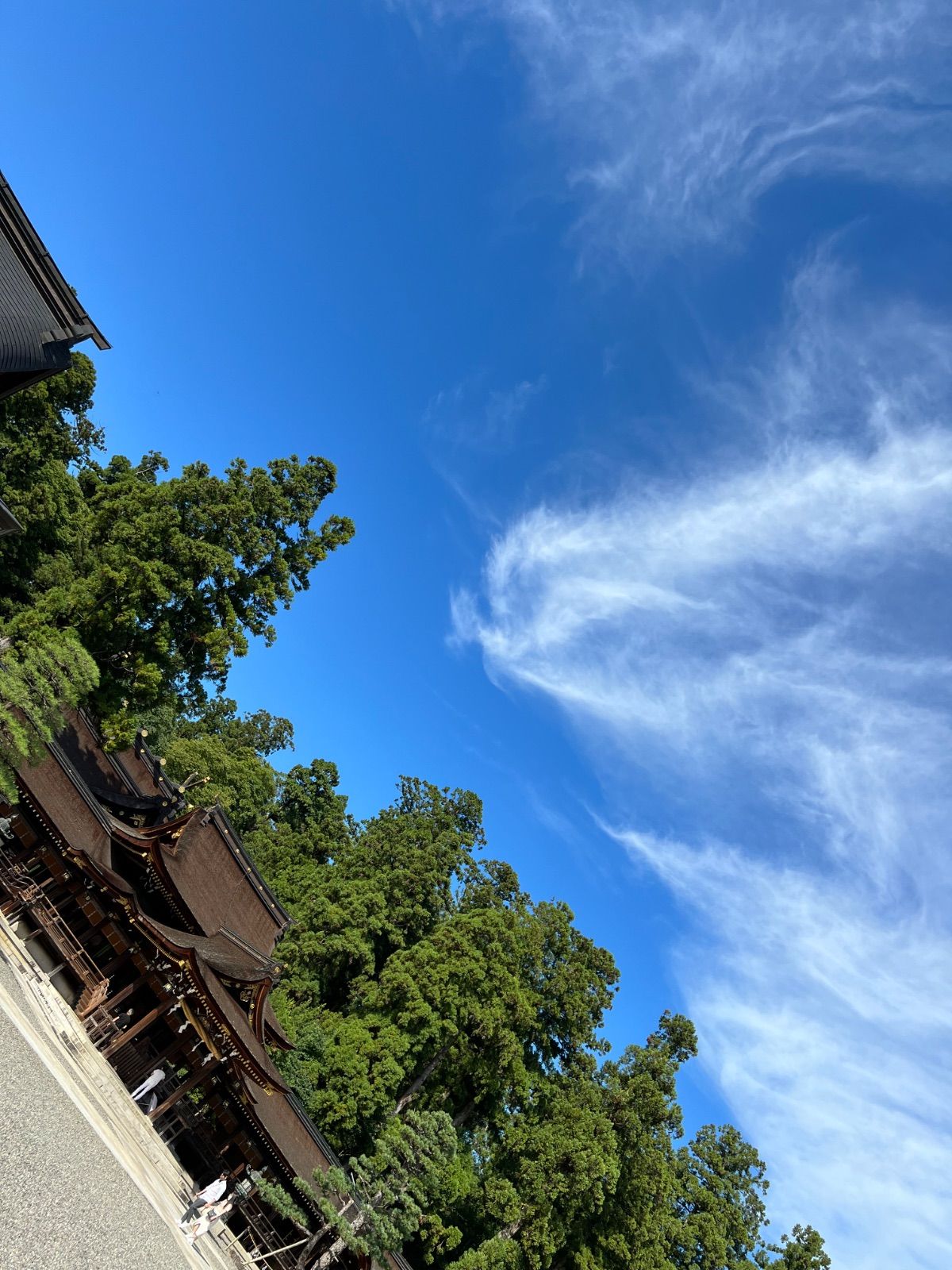 ハッピーチャンス♡様専用