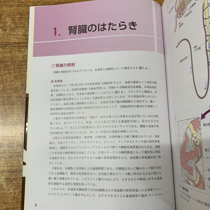 ○01)【1点限り!】犬と猫の腎臓病診療ハンドブック/原田佳代子/緑書房