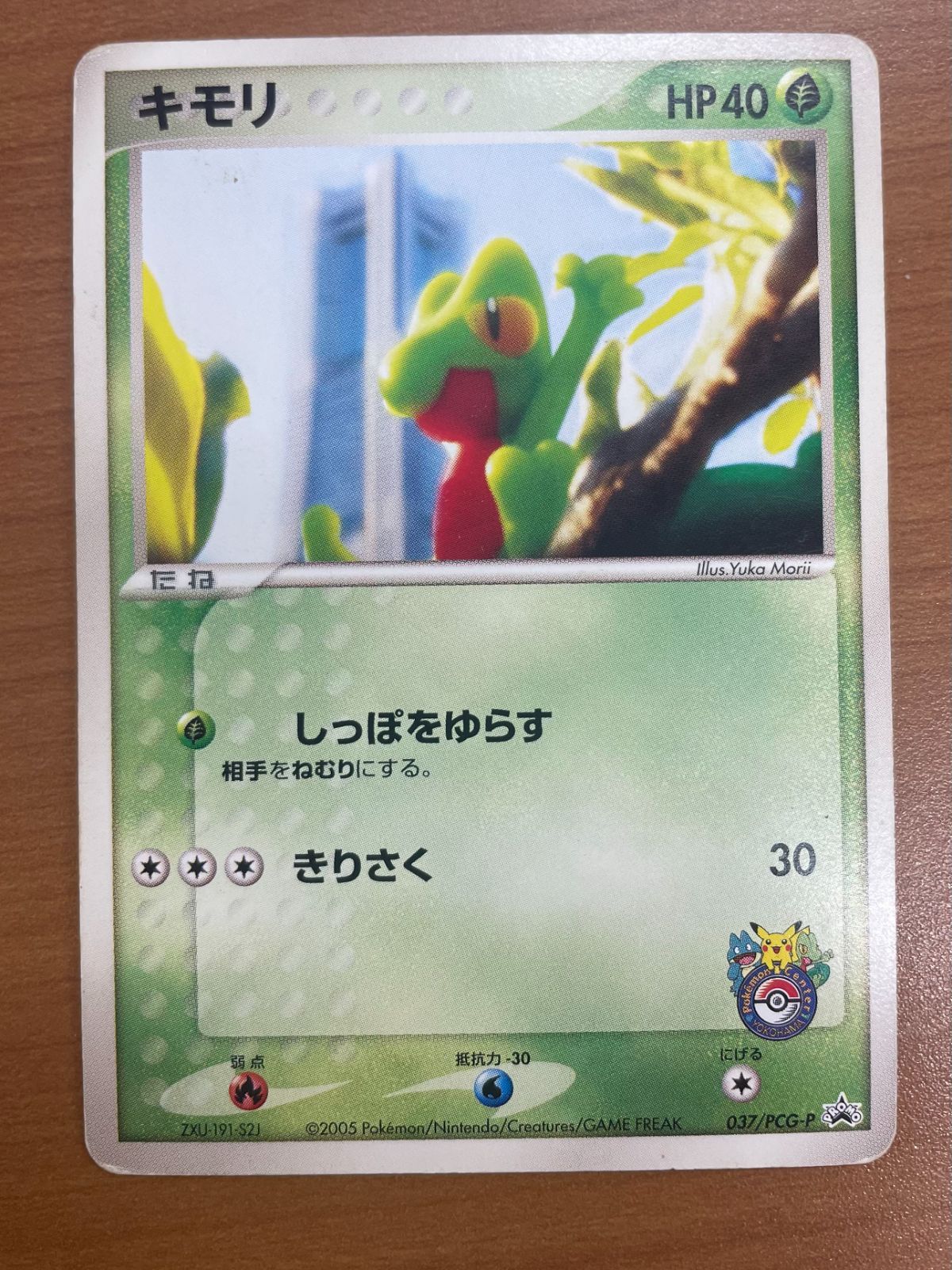 状態C キモリ 037/PCG-P プロモ PROMO ポケカ ポケモン ポケモンカード
