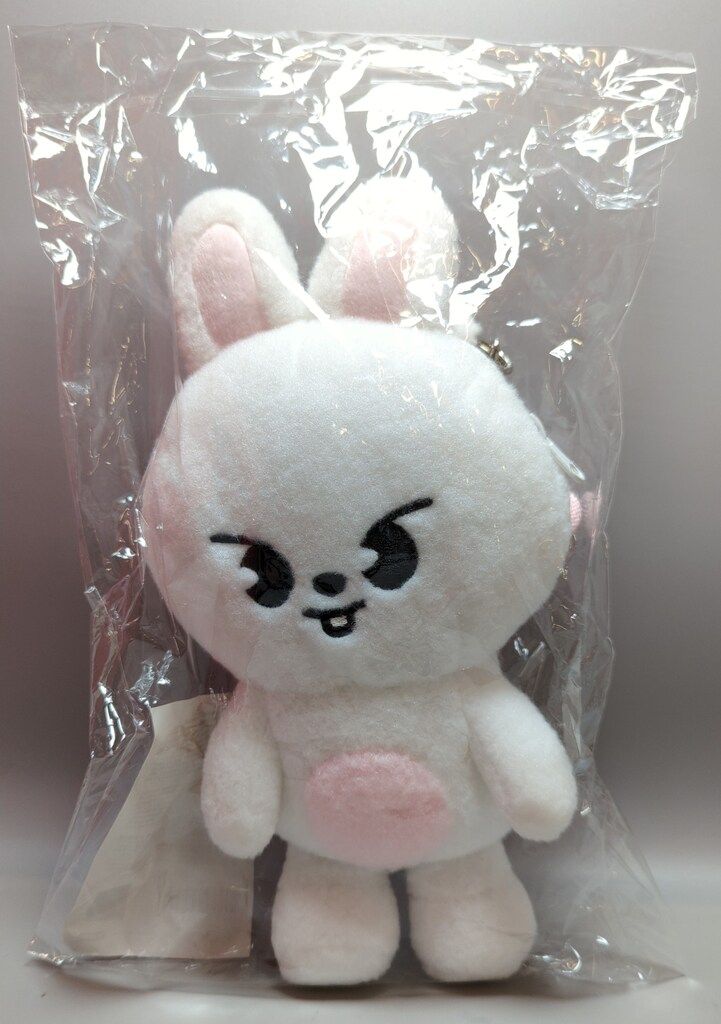 StrayKids 2026 RUN IT SEOUL LEEKNOW CROSS BAG PLUSH