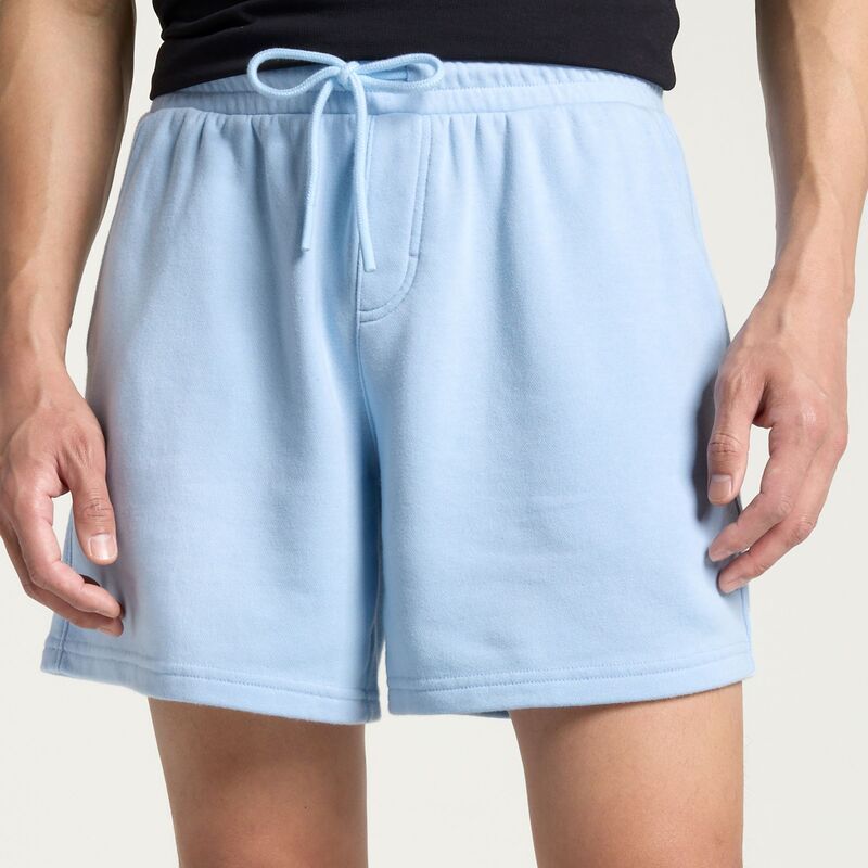 DSG メンズ ボトムス カジュアルパンツ フリース DSG Mens 6 Relaxed Lightweight Classic Fleece Short Blue Chalk チョーク