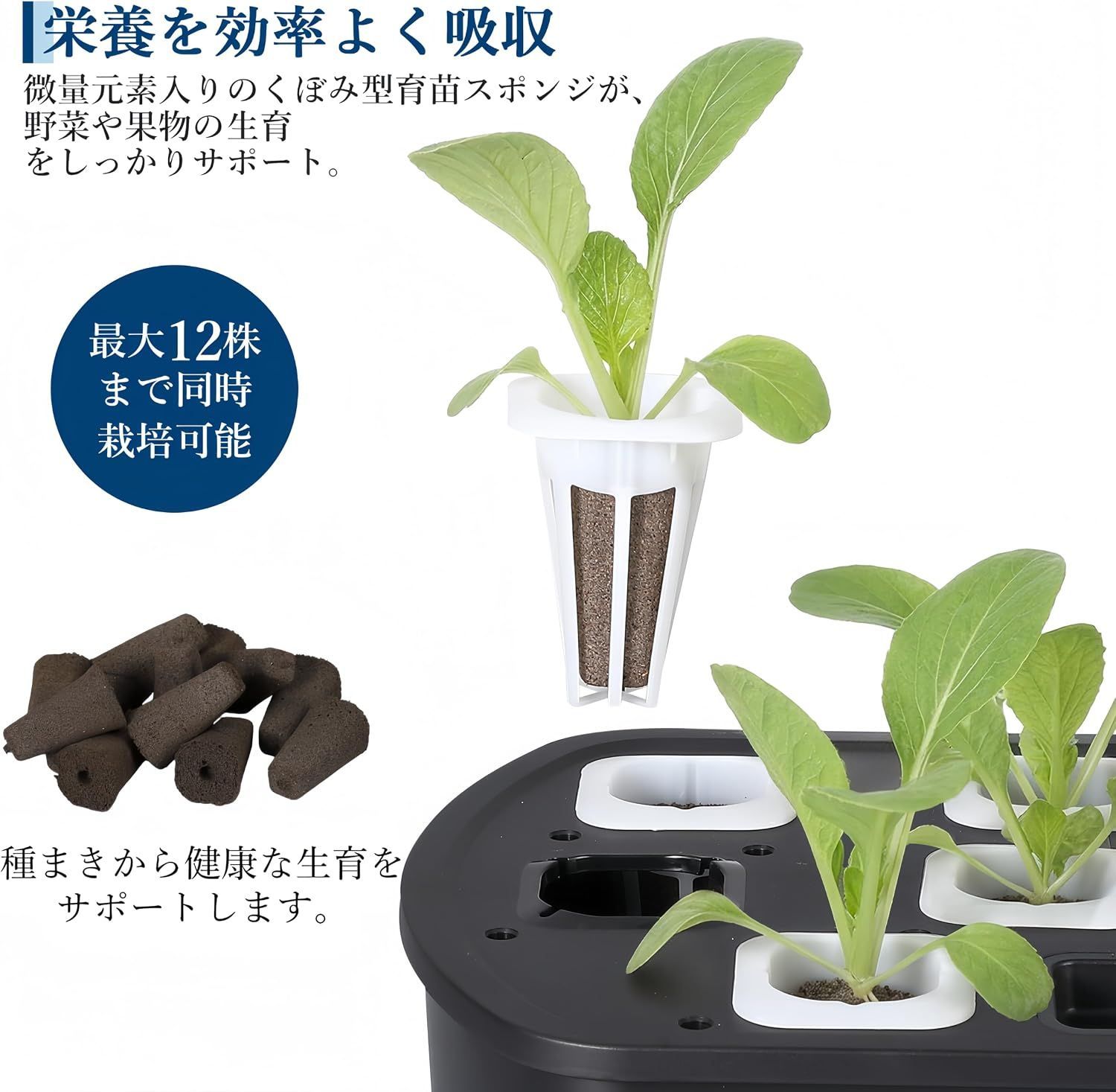 水耕栽培キット 水耕栽培 セット 室内・ベランダ向け 家庭菜園キット