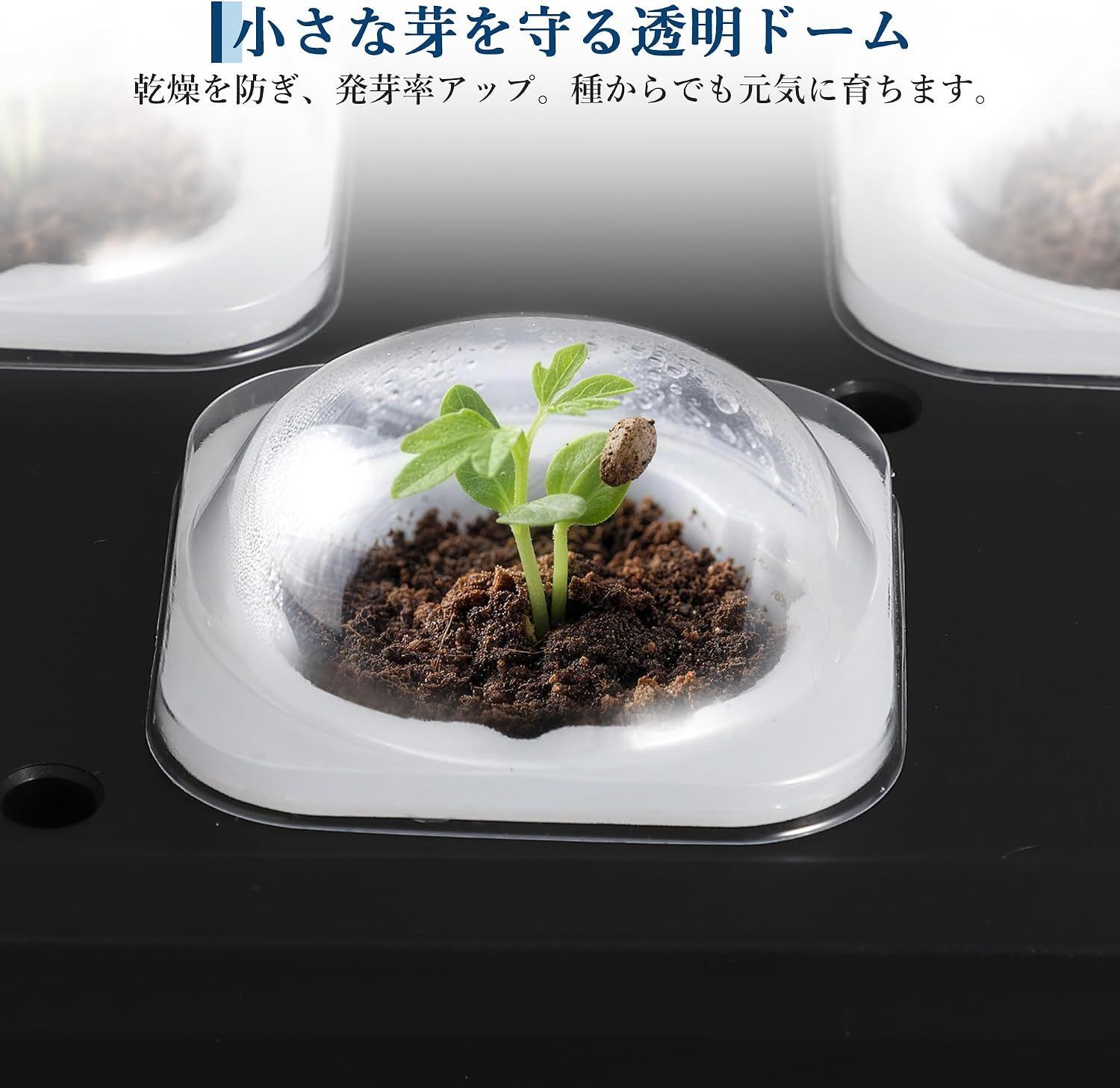 水耕栽培キット 水耕栽培 セット 室内・ベランダ向け 家庭菜園キット