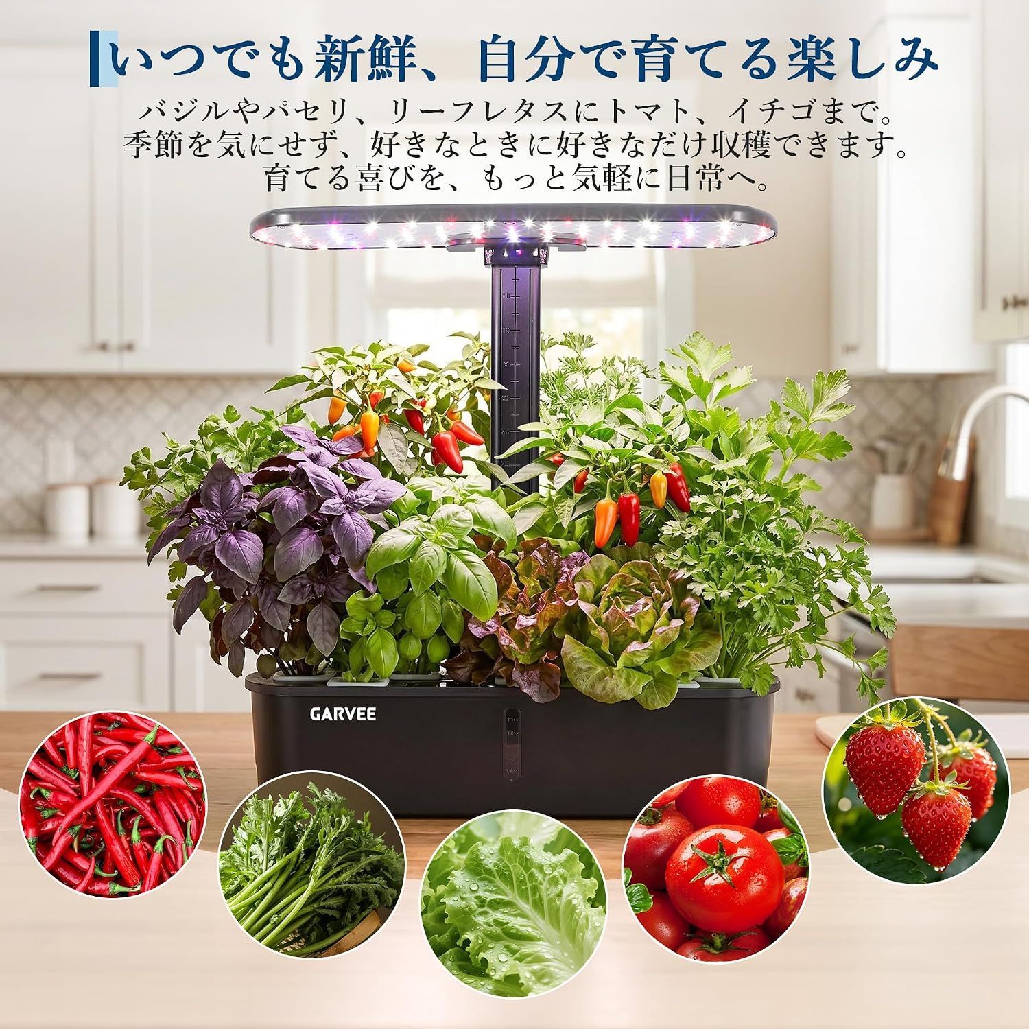 水耕栽培キット 水耕栽培 セット 室内・ベランダ向け 家庭菜園キット