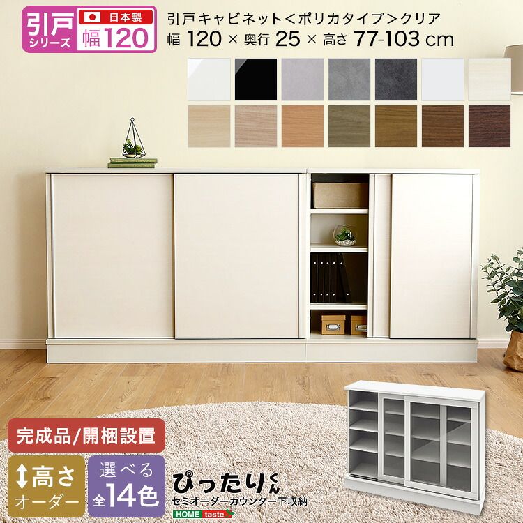 【引戸シリーズ】セミオーダーカウンター下収納ぴったりくん キャビネット(ポリカタイプ クリア) 幅120cm×奥行25cm（カラー1）