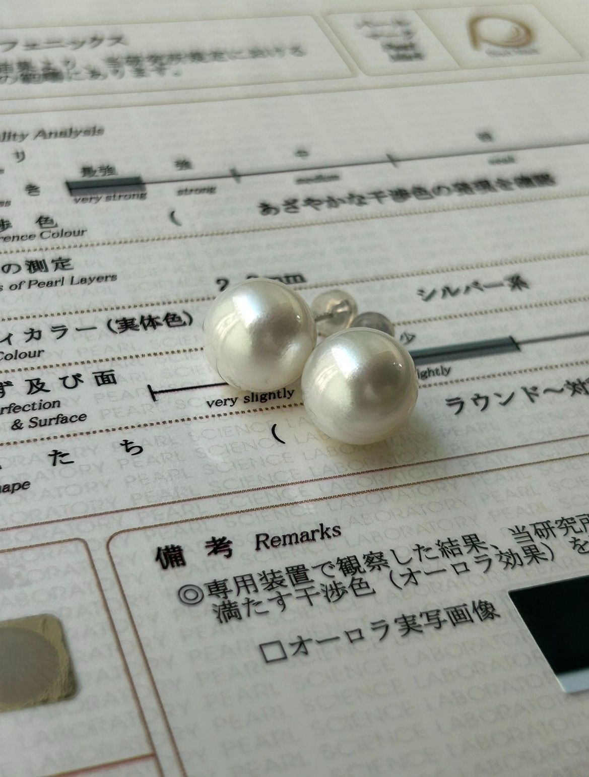 白蝶 真珠 南洋 パール ピアス 鳳凰 フェニックス K18WG 12.8mm 真珠科学研究所 Phoenix 鳳凰 59,840円