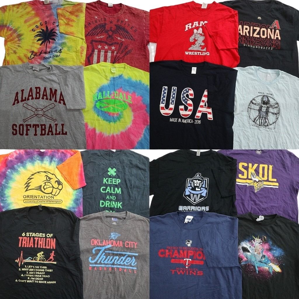 古着卸 まとめ売り プリント Tシャツ 16枚セット ( メンズ L ) アニマルモチーフ プロチーム NFL ヴァイキングス 宇宙 中古 古着 NG0383