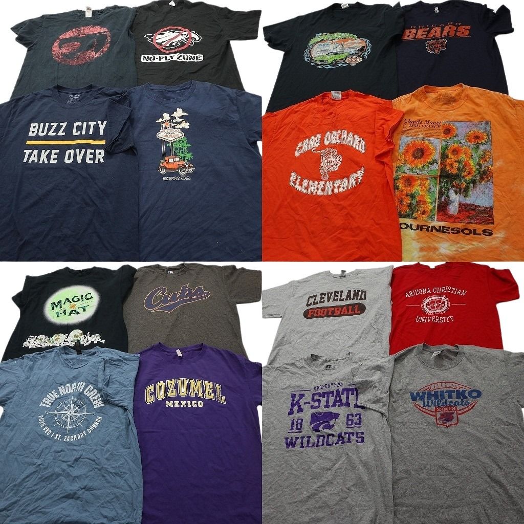 古着卸 まとめ売り プリント Tシャツ 16枚セット ( メンズ L ) タイダイ柄 アニマル アーチロゴ プロチーム NFL ブラック 中古 古着 NG0645 13,206円