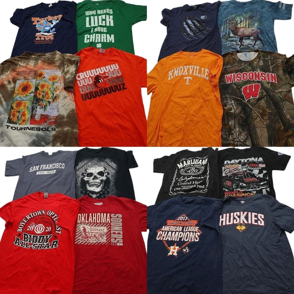 古着卸 まとめ売り プリント Tシャツ 16枚セット ( メンズ Ｍ ) リアルツリー柄 アニマル タイダイ柄 スカル柄 プロチーム 中古 NG0656