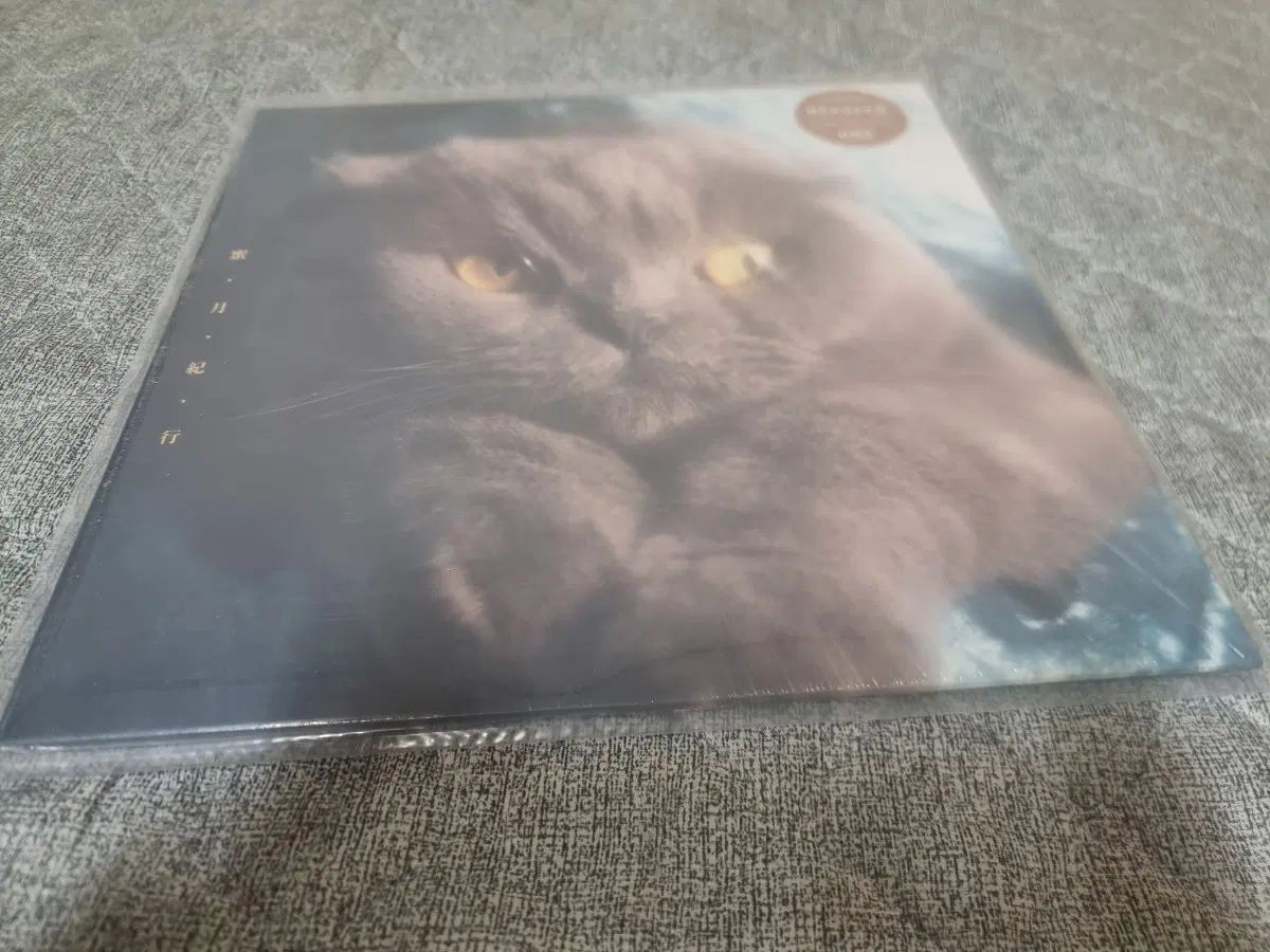 ネコセン Nekosen ー 蜜月旅行 LP 販売