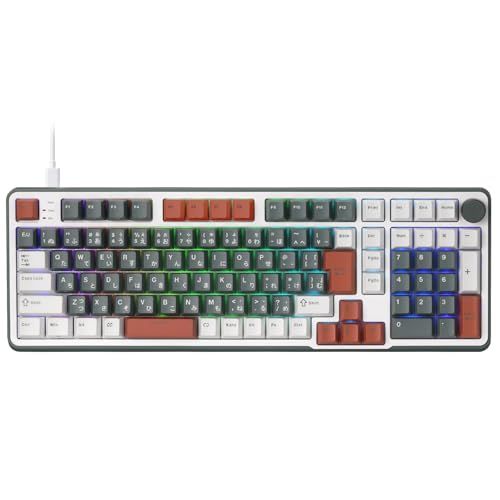 RK ROYAL KLUDGE C98 JP HE メカニカルゲーミングキーボード、ホール効果磁気スイッチ、ホットスワップ対応 95% 有線 RGB キーボード、ラピッドトリガー調整可能アクチュエーション、8K ポーリングレート、Mac & 3e7cccc4 11,396円