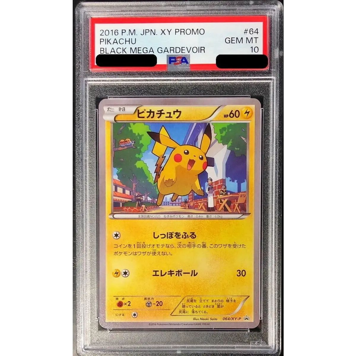 PSA10鑑定済〕ピカチュウ【P】{064/XY-P} - メルカリ