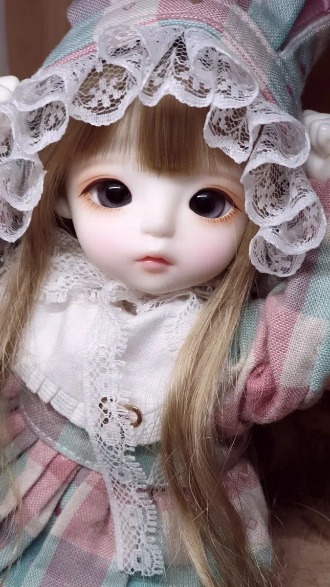 LINA chou chou リミテッド スノウ キットン クリーム 出品