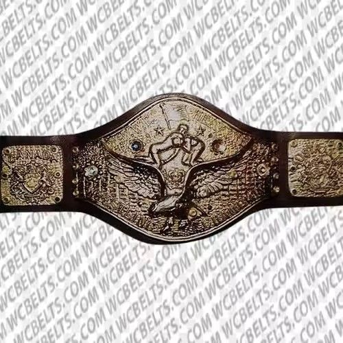 WWWF Heavyweight プロレス レスリング チャンピオンベルト 優勝 レプリカ プロレス 小道具 レプリカ オーダーメイド【発送到着予定日:9月10日】