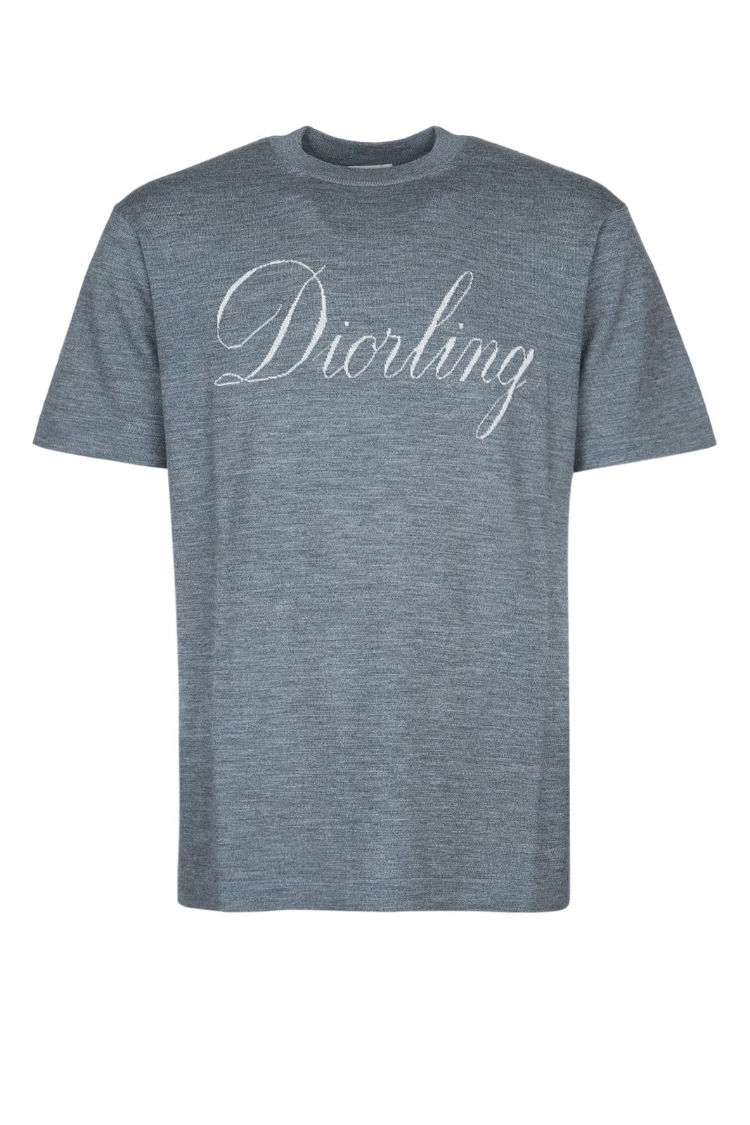 【新品・最安値】Dior Homme Maglia leggera diorling intarsia maniche corte Grey 正規品 その他