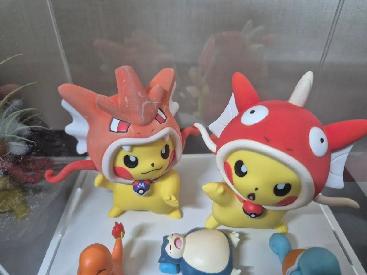 dsスタジオ 판쵸추 鯉キング ギャラドス