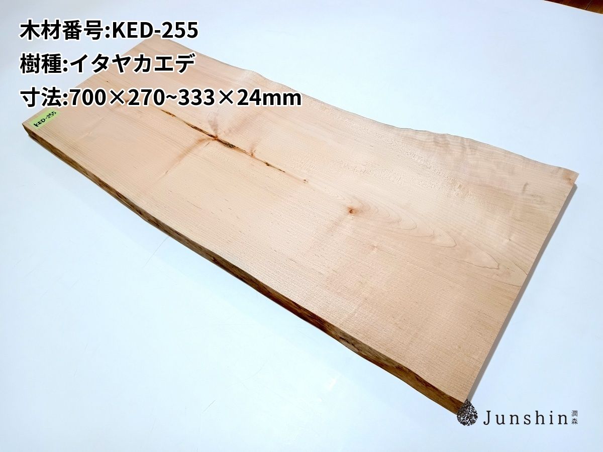 材料・資材 KED-255 イタヤカエデ 板谷楓 メープル 一枚板 700mm×270