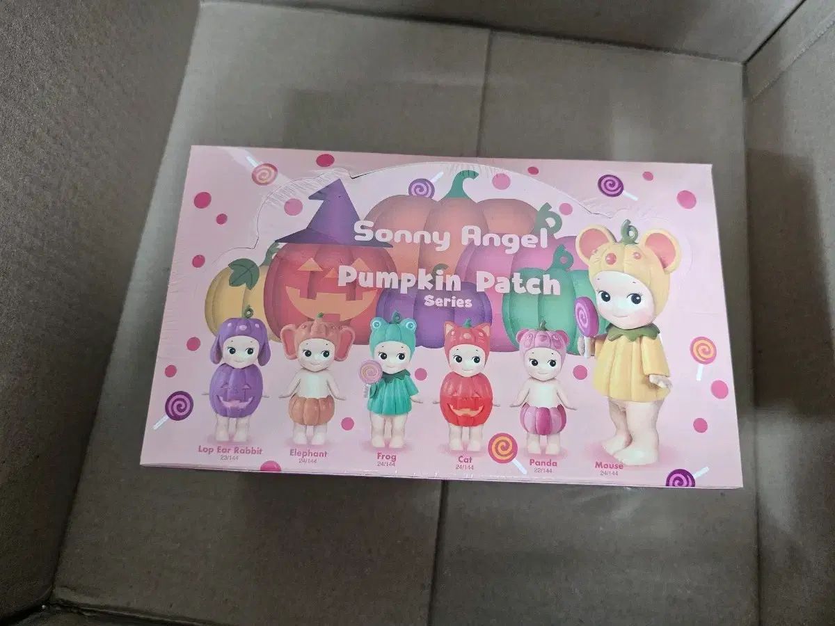 ソニーエンジェル パンプキン Pumpkin Patch シリーズ