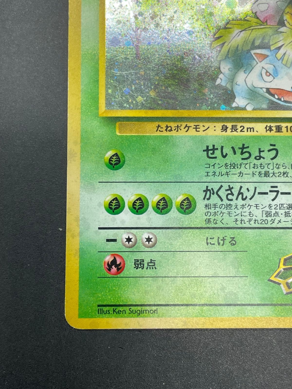 ポケモンカード 旧裏 エリカのフシギバナ LV.45 No.003 ジム拡張第2弾