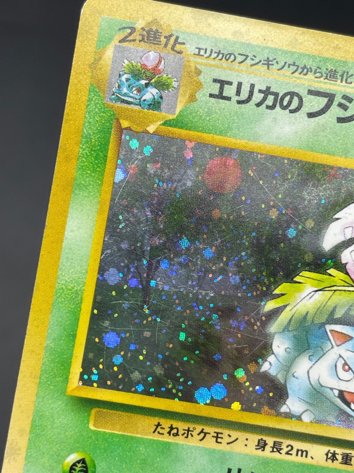 ポケモンカード 旧裏 エリカのフシギバナ LV.45 No.003 ジム拡張第2弾