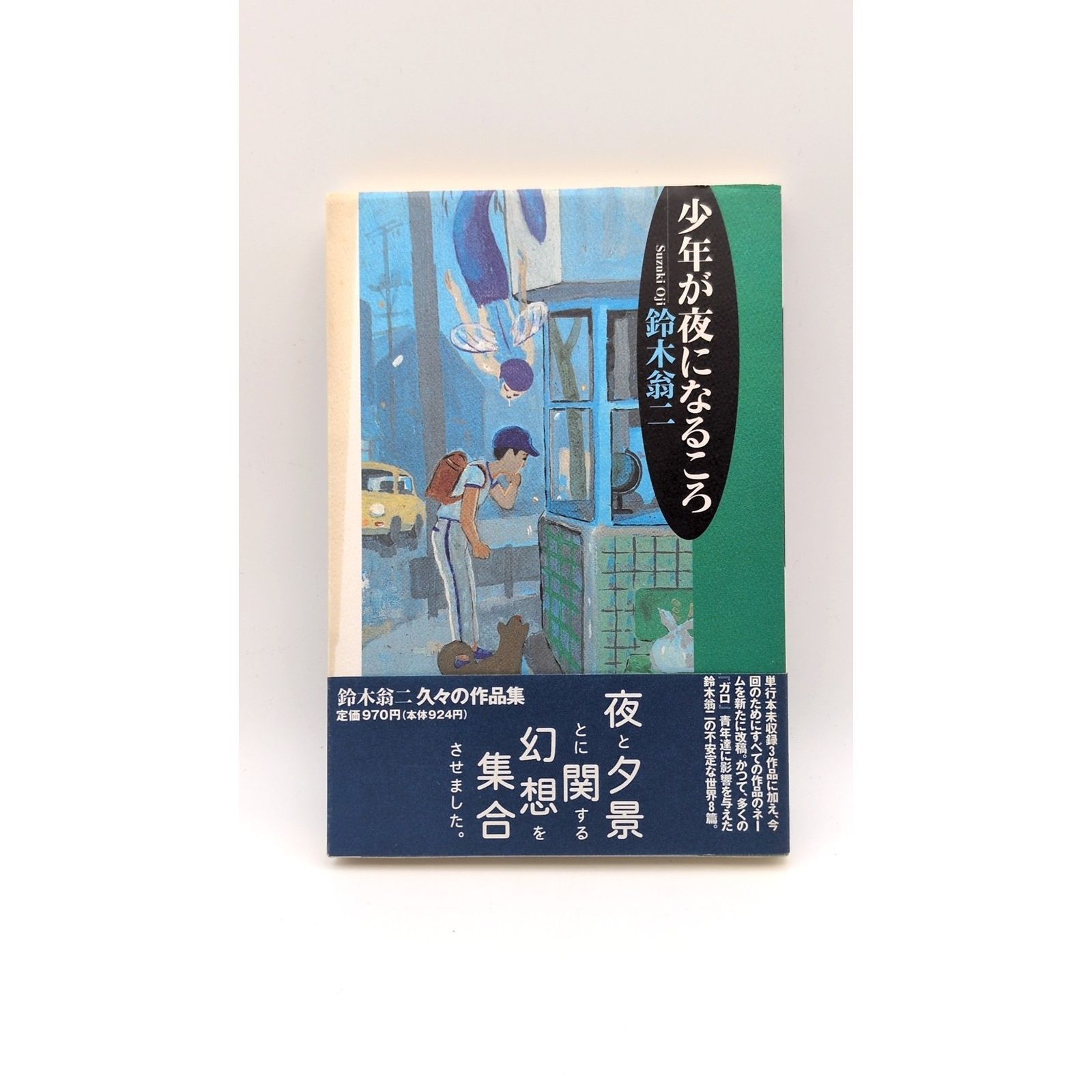 少年が夜になるころ 9,855円