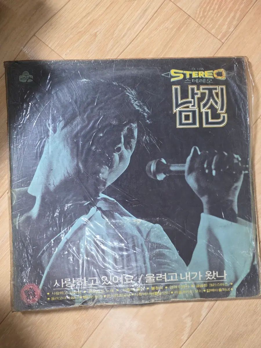 ナムジン ステレオ LP