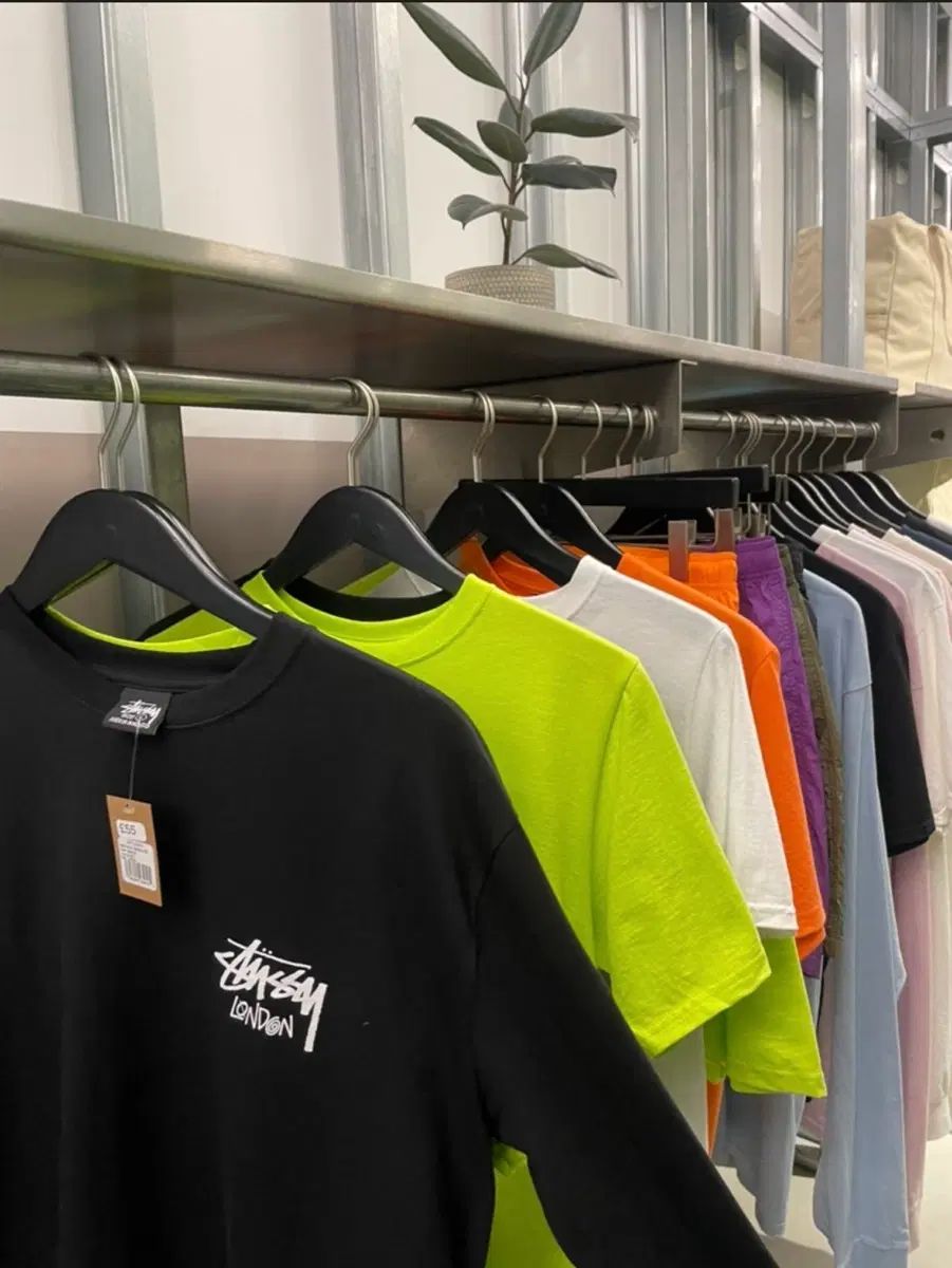 STUSSY ロンドン チャプター 半袖T Lサイズ