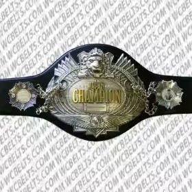 ボクシング世界フライ級王者　 チャンピオンベルト　優勝　　レプリカ プロレス　　小道具　　レプリカ　オーダーメイド【発送到着予定日:9月10日】