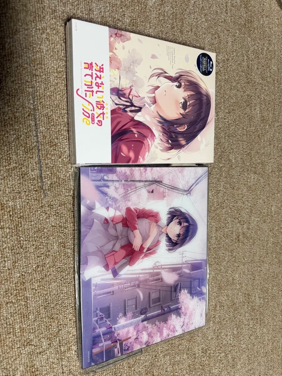 糸師 冴 Blu-ray 恵 アークス 額縁 出品
