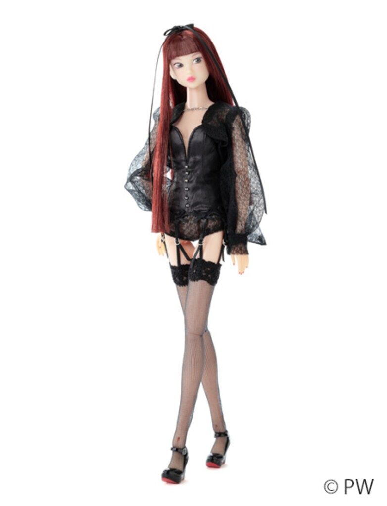 ★新品★　ペットワークス CCS-momoko 26AN
