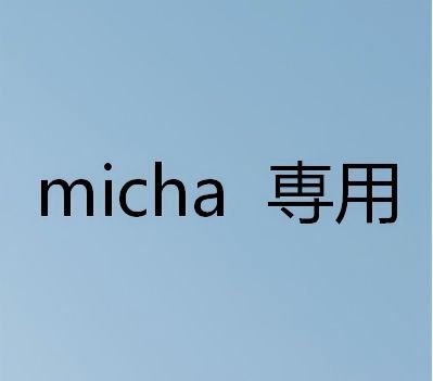 micha 専用
