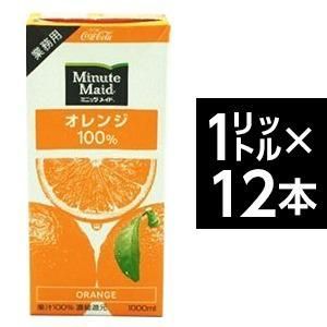 ds-コカ・コーラ　（コカコーラ） ミニッツメイド オレンジ 100%　1L紙パック×12(6×2)本入