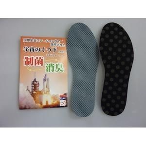 ds-「宇宙のくつ下」シリーズ ミネラルインソール 水玉ブラック(リバーシブルタイプ) 24cm 〔5足セット〕 (靴の中敷き)